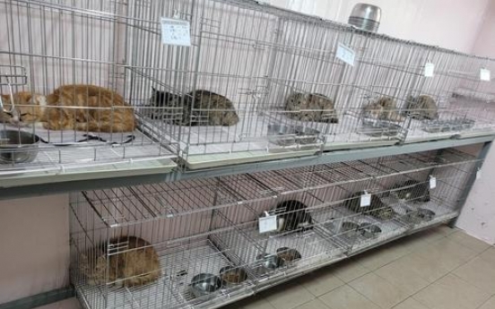 Landlord who reported tenant for abandoning 14 cats turns out to be their owner