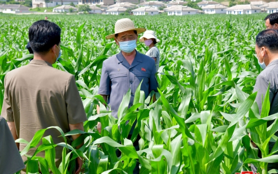 N. Korea puts major rice-producing areas on high alert against flooding