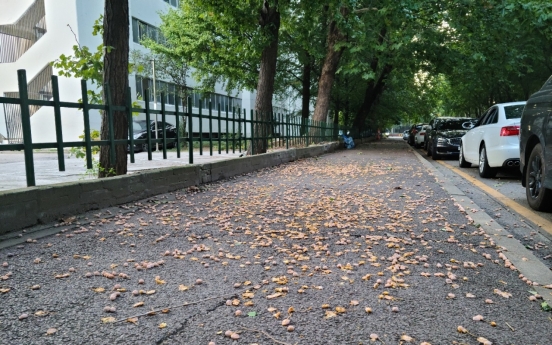 [Seoul Struggles 12] Ginkgo berries, the bane of autumn