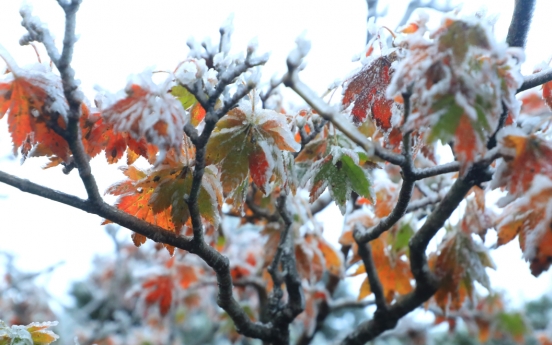 Seoul logs coldest mid-October morning in 67 years