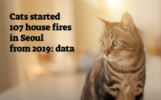 Cats responsible for 107 house fires in Seoul in past 3 yrs