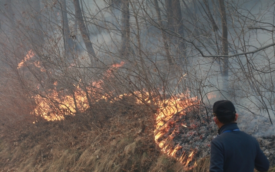 All-out battle under way to extinguish east coast wildfires