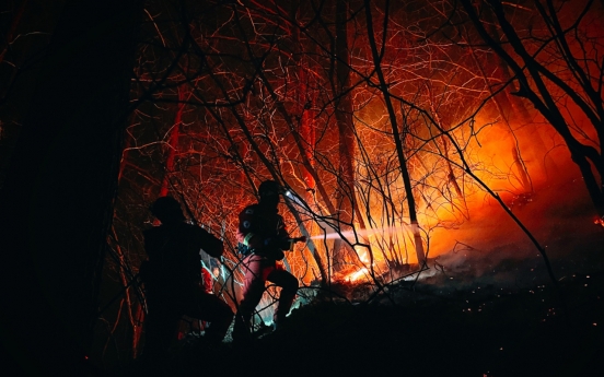 Wildfires on east coast burn nearly 24,000 ha of woodland, most devastating on record