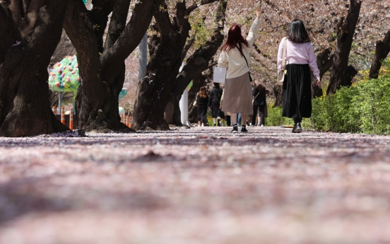 Cherry blossom street in Yeouido to welcome visitors this year but without festival