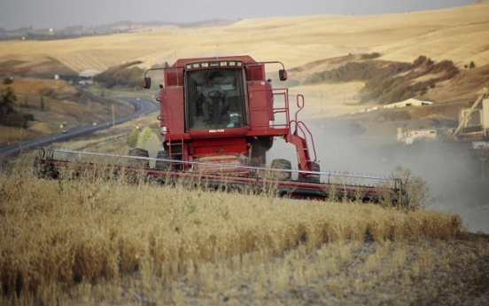 Wheat import prices hit over 13-year high in March