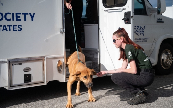 International NGO rescues dogs, calls on Korean government for change