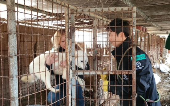 [Newsmaker] [From the Scene] From meat to companion: 200 pups freed from dog farm in Asan