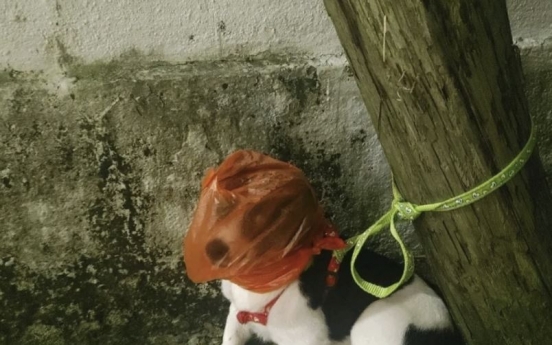 Dog found with plastic bag over head kicks off investigation