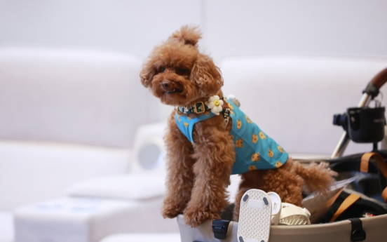 Korea to unveil medical care plans for pets in Oct.