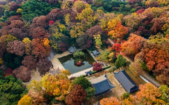 Somber palaces, tombs swathed in fall colors