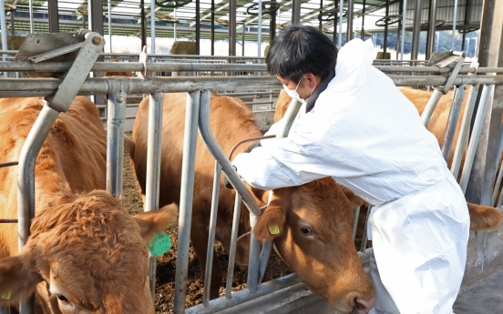 Over 84% of cattle got vaccines against lumpy skin disease