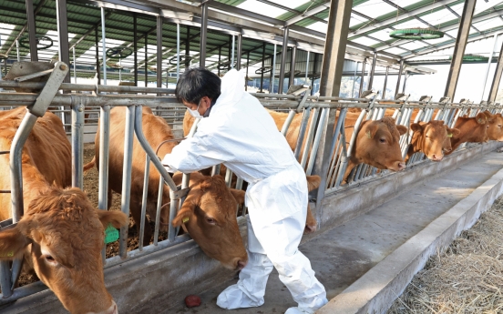 All cattle now vaccinated against lumpy skin disease