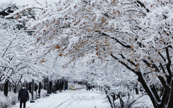 Heavy snow hits S. Korea, with more expected