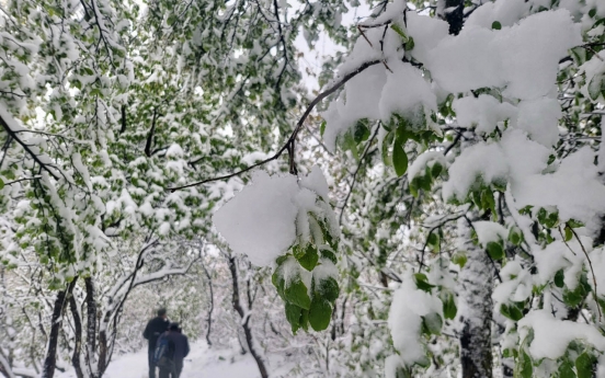 Why is heavy snow falling in mid-May in Korea?