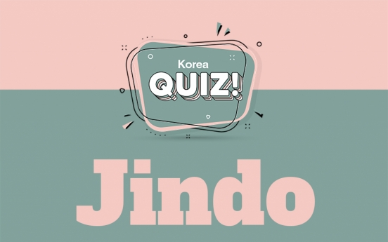 [Korea Quiz] Jindo dogs