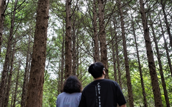 Heal your mind, body in Jeju forest