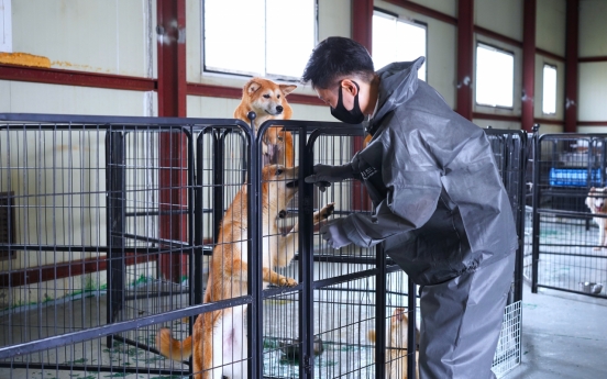 [Better Together] Cherishing the human-canine bond