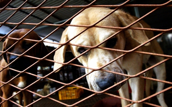 Law to ban dog meat takes effect