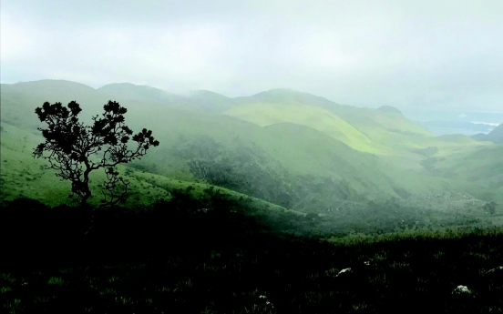 Botanical experts convene in Korea to highlight urgency of plant conservation