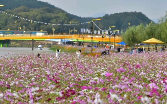 [Travel Bits] Festivals, sights across Korea