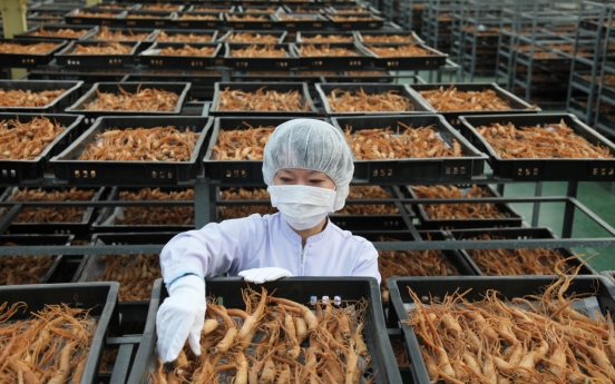 [From the scene] KGC's ginseng harvest season in full swing