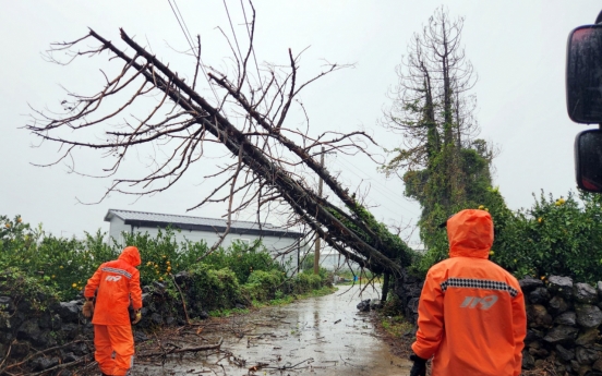 Heaviest November rain in 101 years drenches Jeju