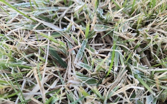 Season's first frost seen in Seoul, Daejeon