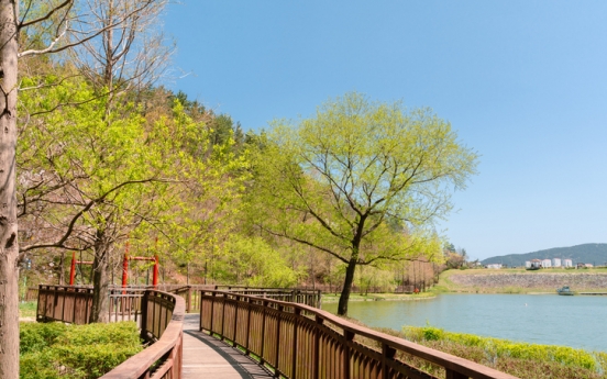 By tree color, Busan still holds on to summer