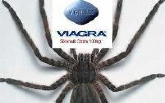 Spider venom can cause erection up to four hours