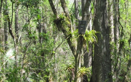 Swamp vacation: Walk through water, muck reveals real Everglades