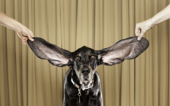 Colorado dog celebrated for having such long ears