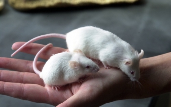 Removing ‘deadbeat’ cells in mice blunts physical decline from aging