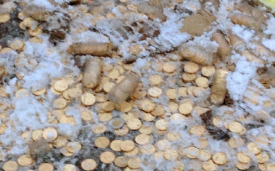 Millions of coins spill on Canada road
