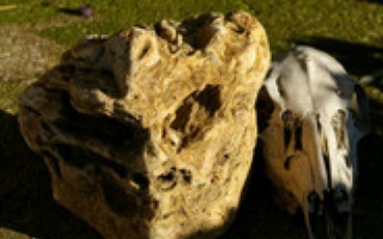 Missouri resident claims rock is alien skull
