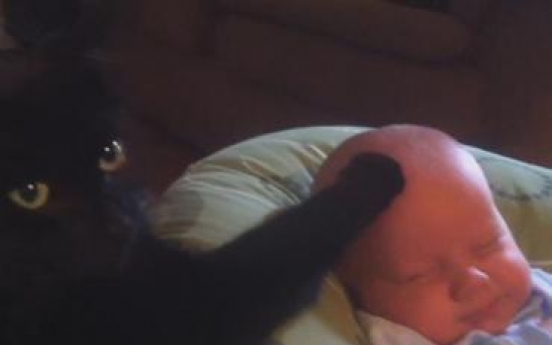 Online video of cat soothing baby to sleep goes viral