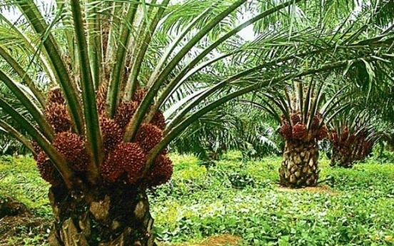 Addressing palm oil concerns in Malaysia