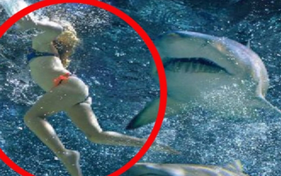 상어에 공격당하는 女 영상 ‘공포’