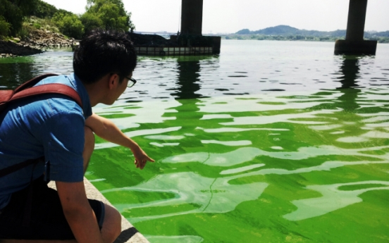 Hangang weir blamed as key culprit for green tide
