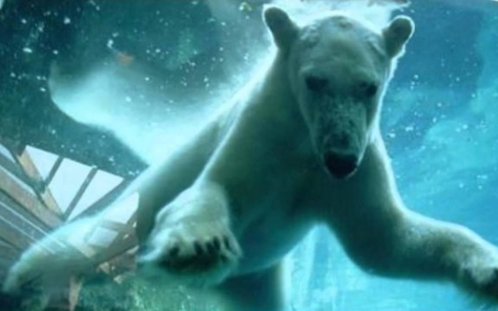 북극곰, 돌로 수족관 유리 깨… ‘발칵’(영상)