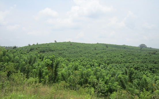 KFS fosters forest biomass plantation in Indonesia