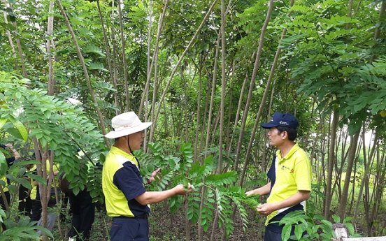 Korea, Indonesia strengthen cooperation in forest industry