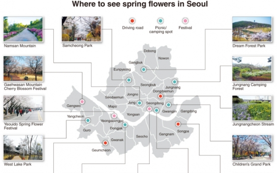 Enjoy spring in Seoul