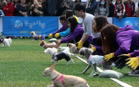 Korea strives to ensure animal rights