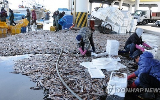 Chinese boats' overfishing dents squid haul in East Sea