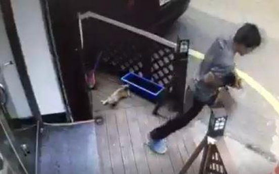 Man gets fined for brutally killing stray cat