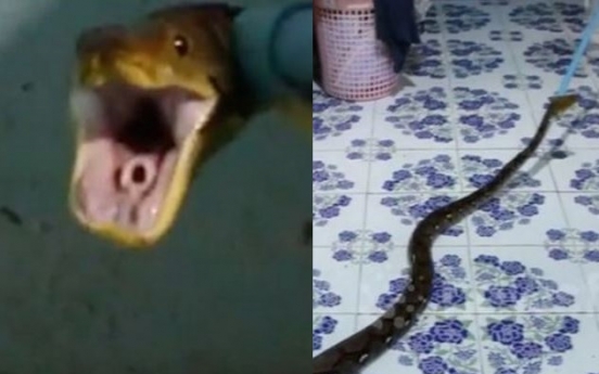 ‘거대 비단뱀’ 숨어든 침대…‘구사일생’