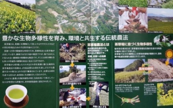 Korean scholar lays claim to Japan’s globally recognized tea farming system