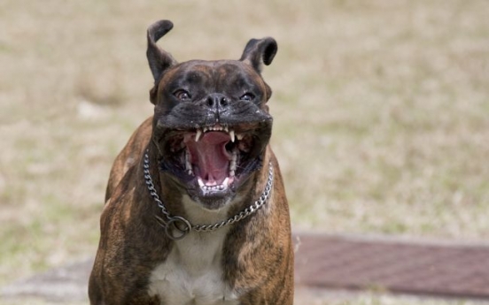 [Feature] Calls grow for stronger punishment against killer pet dogs