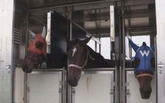 Korean horse racing body imported more than 4,000 horses in last 10 yrs: lawmaker