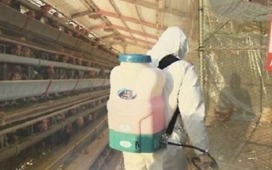 Korea confirms highly pathogenic AI at duck farm